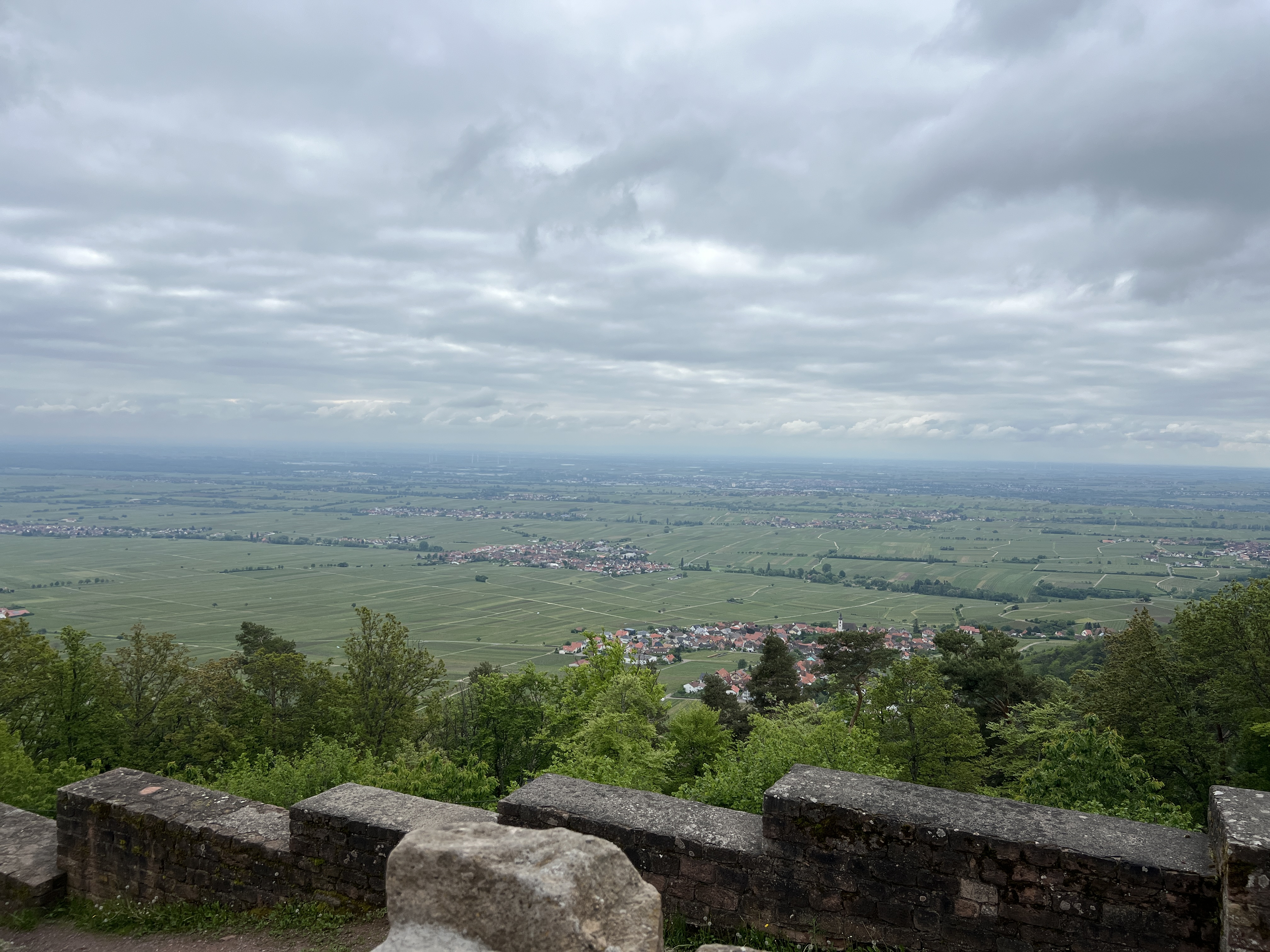 Company Event in the Palatinate: The Rietburg Awaits.