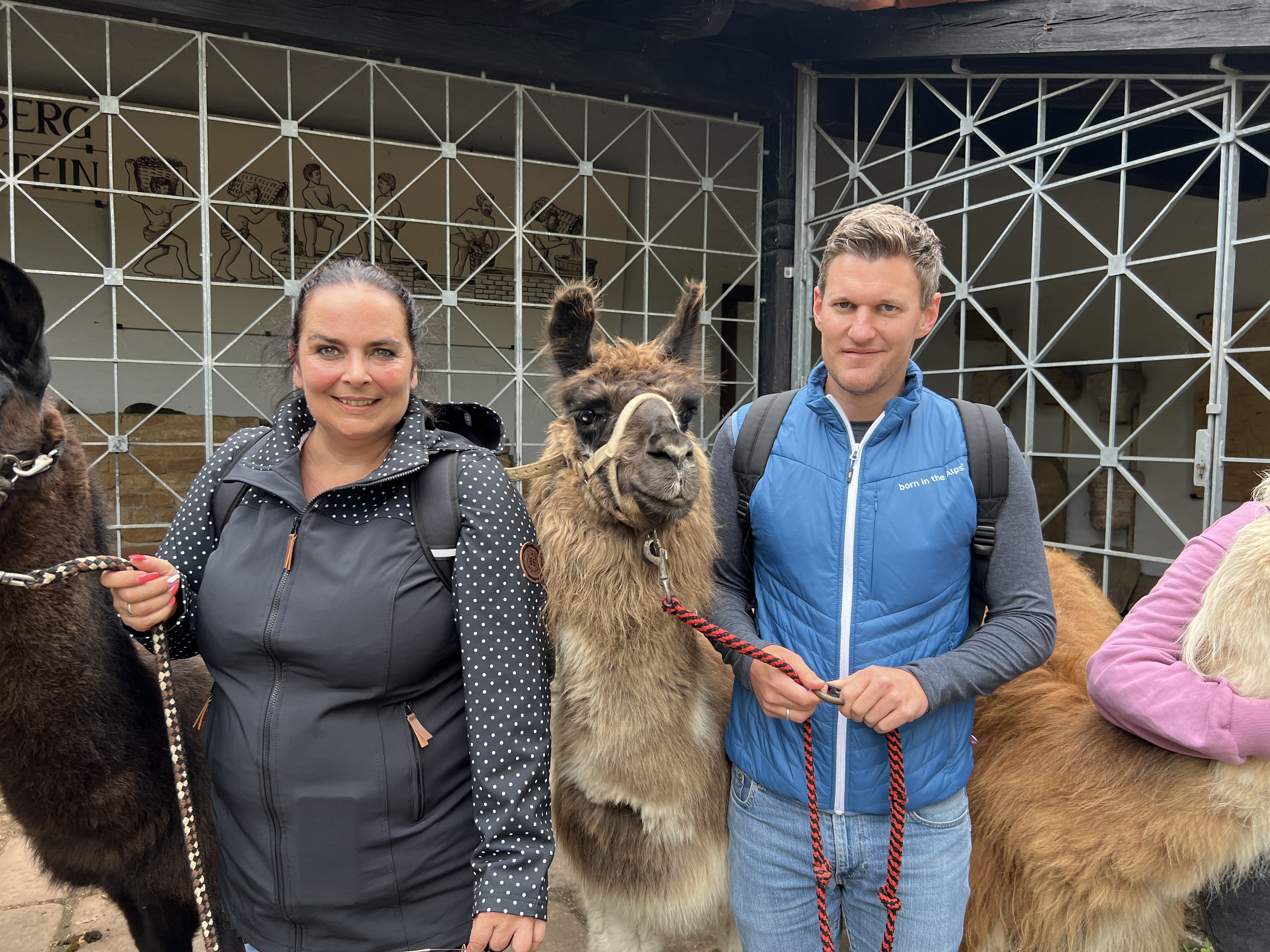 An Unforgettable Team Event: Llama Hike Strengthens the AID Team's Bond!