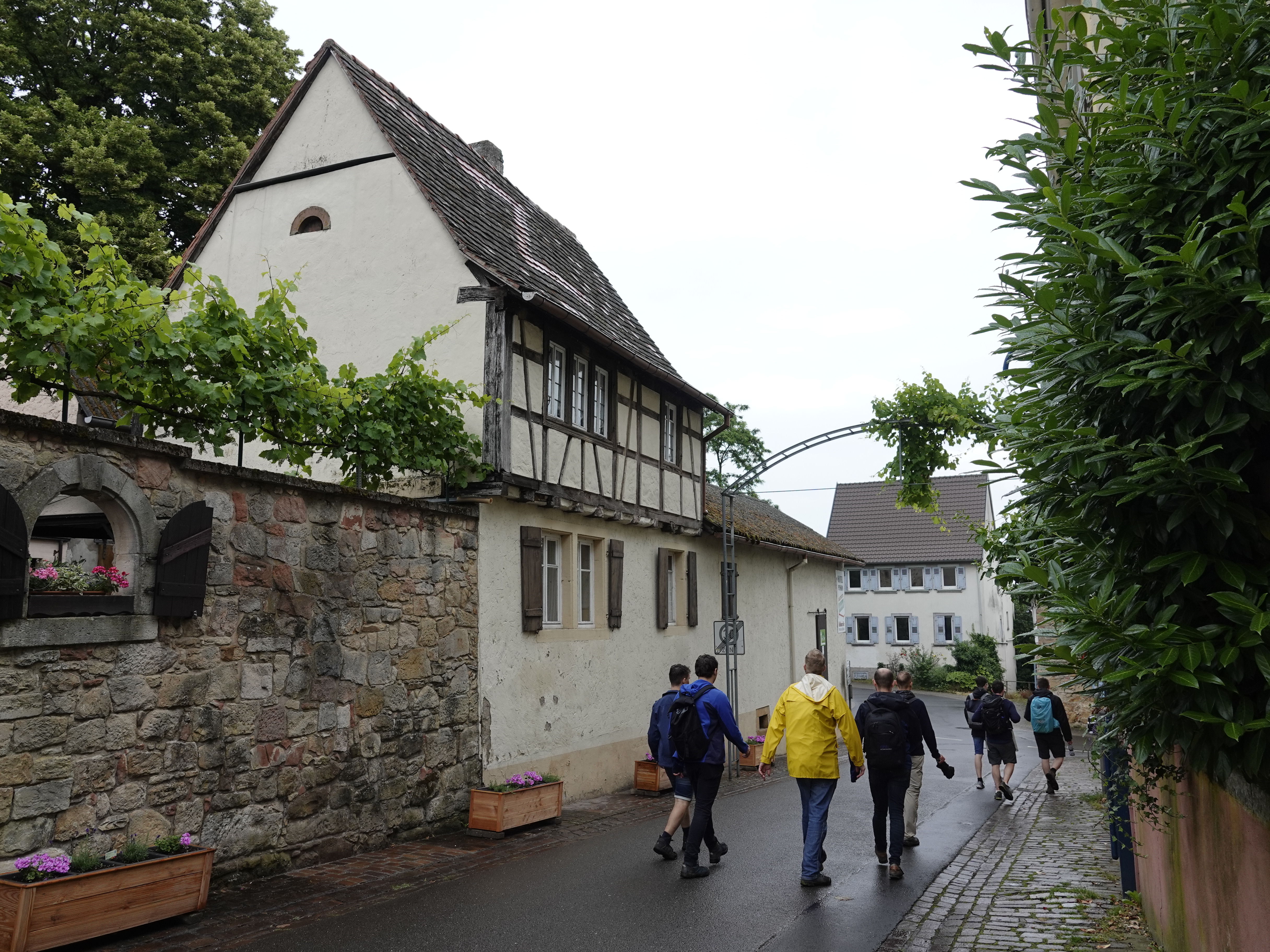 Hiking in the Palatinate Forest