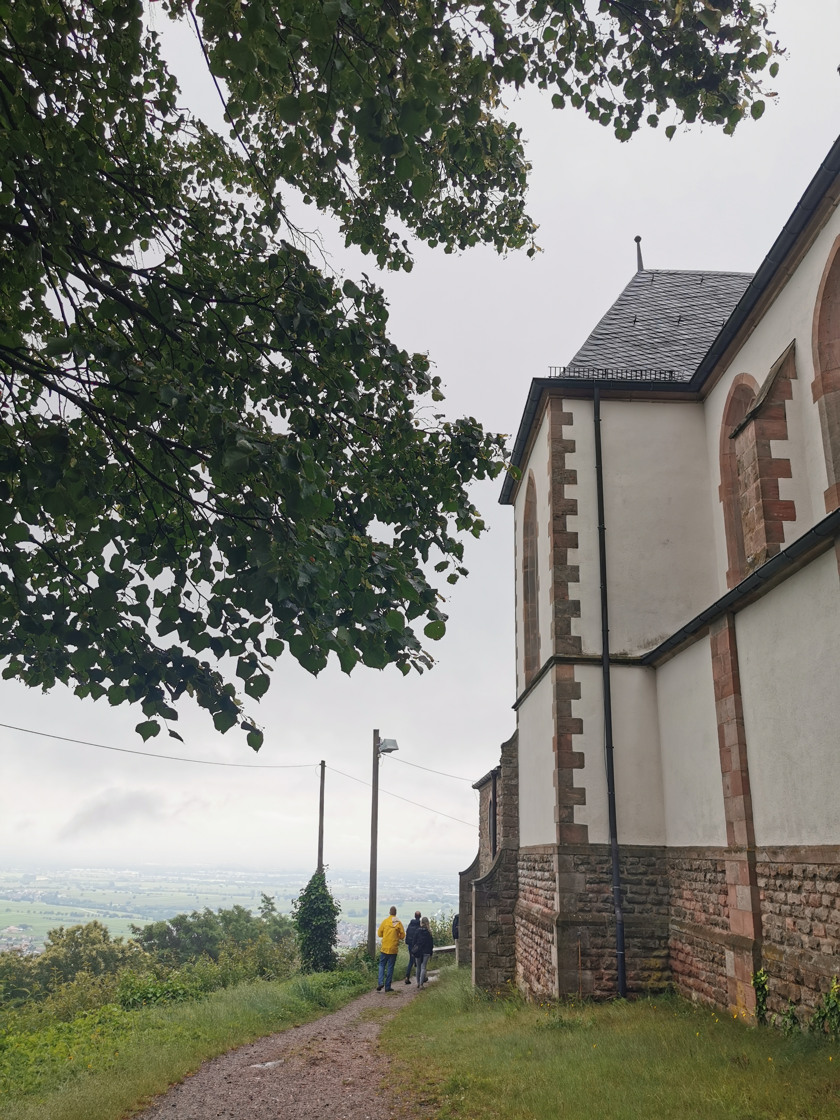 Hiking in the Palatinate Forest