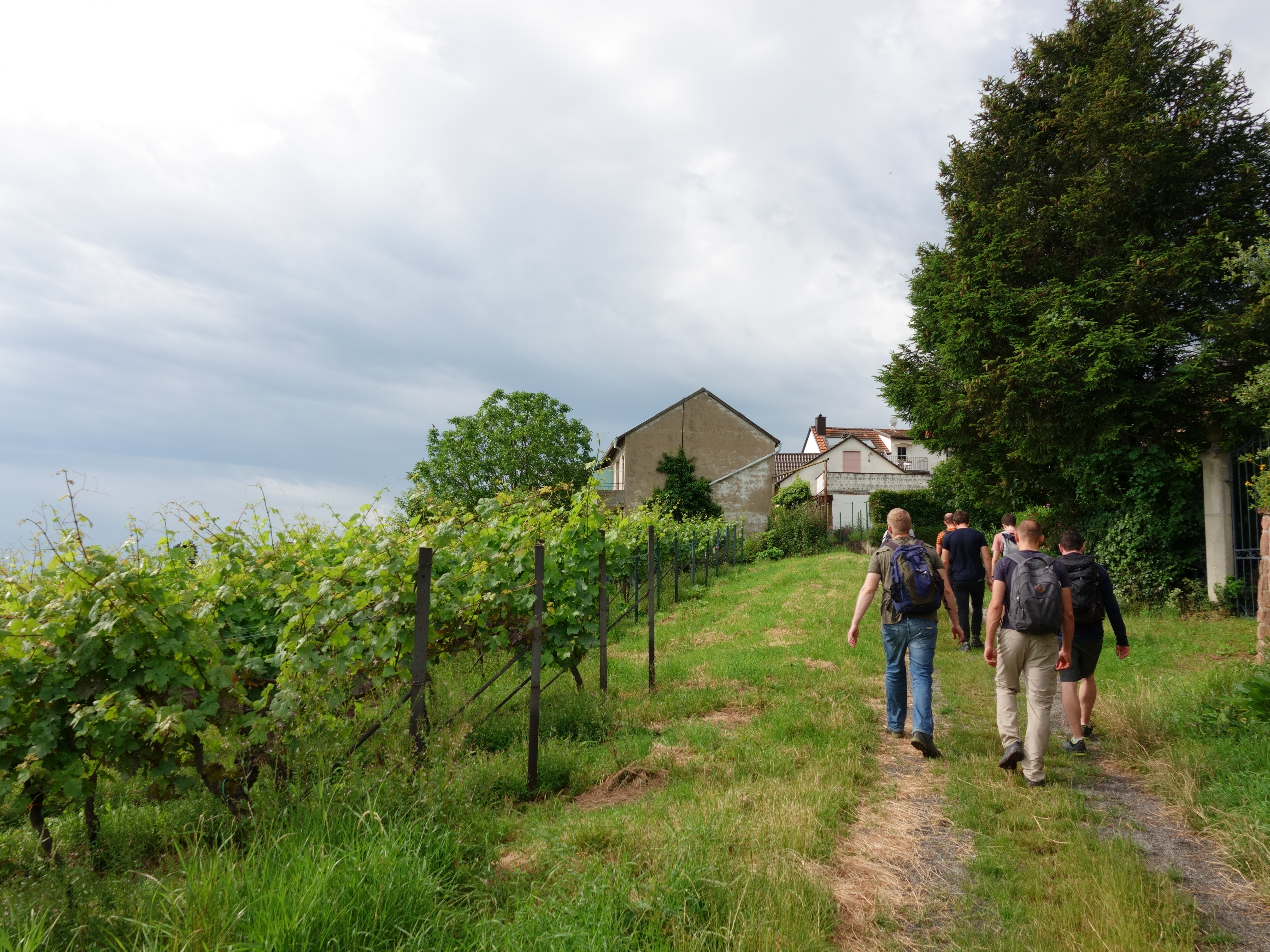 Hiking in the Palatinate Forest