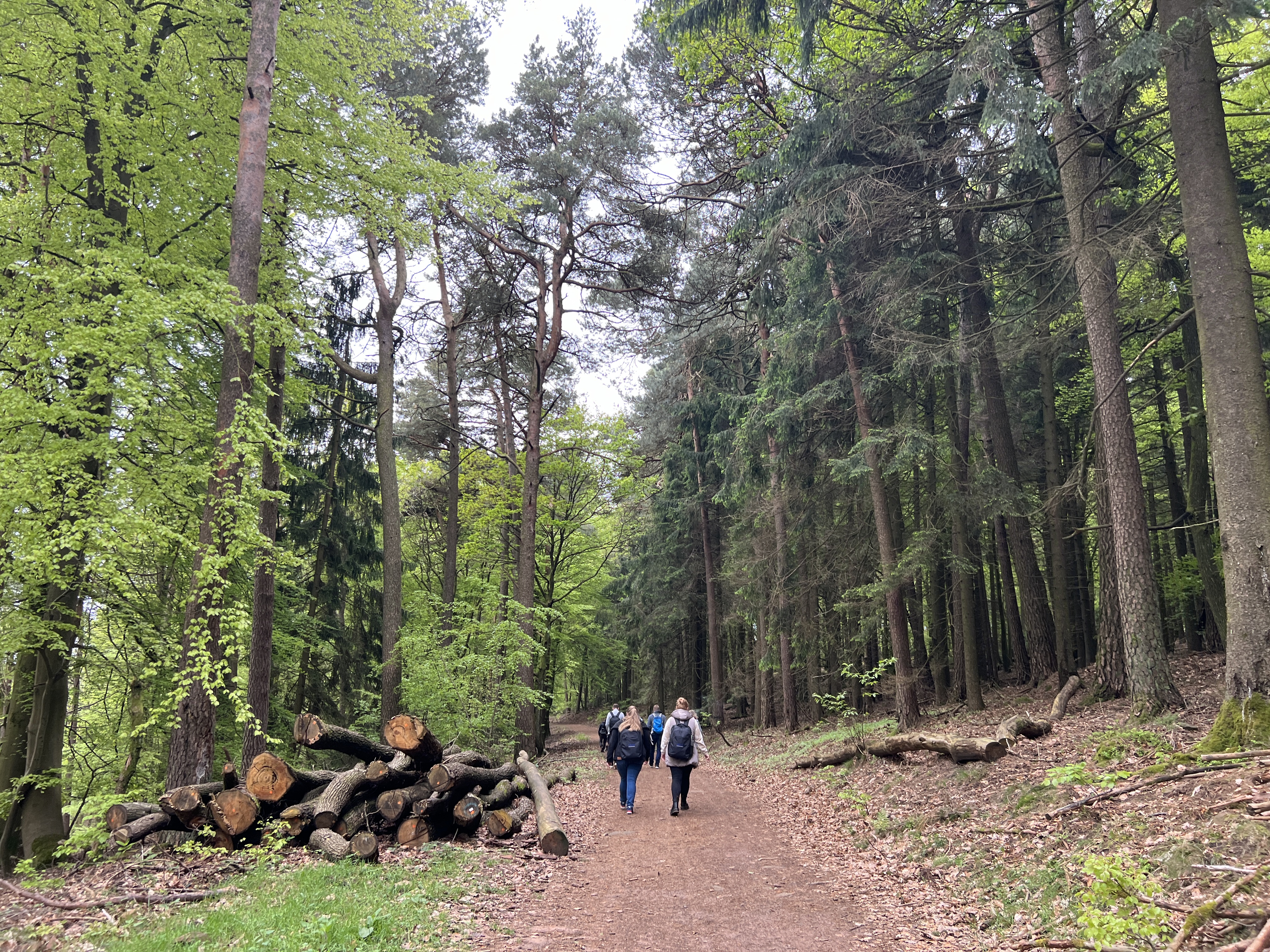 Firmenevent in der Pfalz: Die Rietburg ruft.